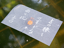 八重垣神社 鏡の池占い