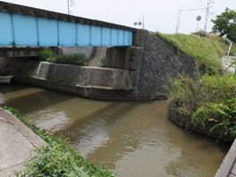 映画のワンシーンが撮影された駅の横を流れる「伊野川」