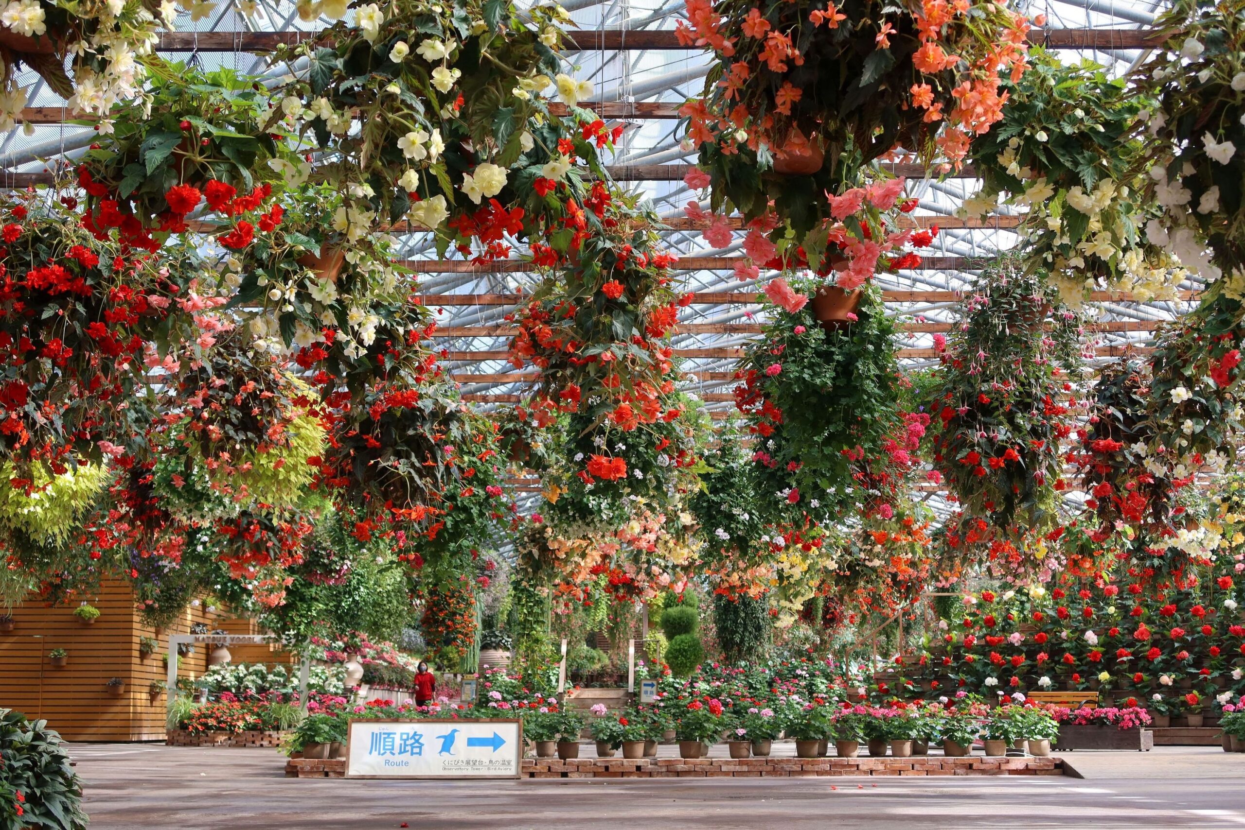 8月30日センターハウスの花の様子 - 【公式】湖畔に広がる花と鳥の楽園