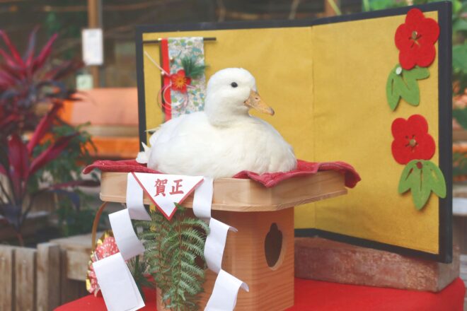 限定品天界★富を築き財運の鳥居導きプレートオルゴナイト 限定品天界☆富を築き財運の鳥居導きプレートオルゴナイト