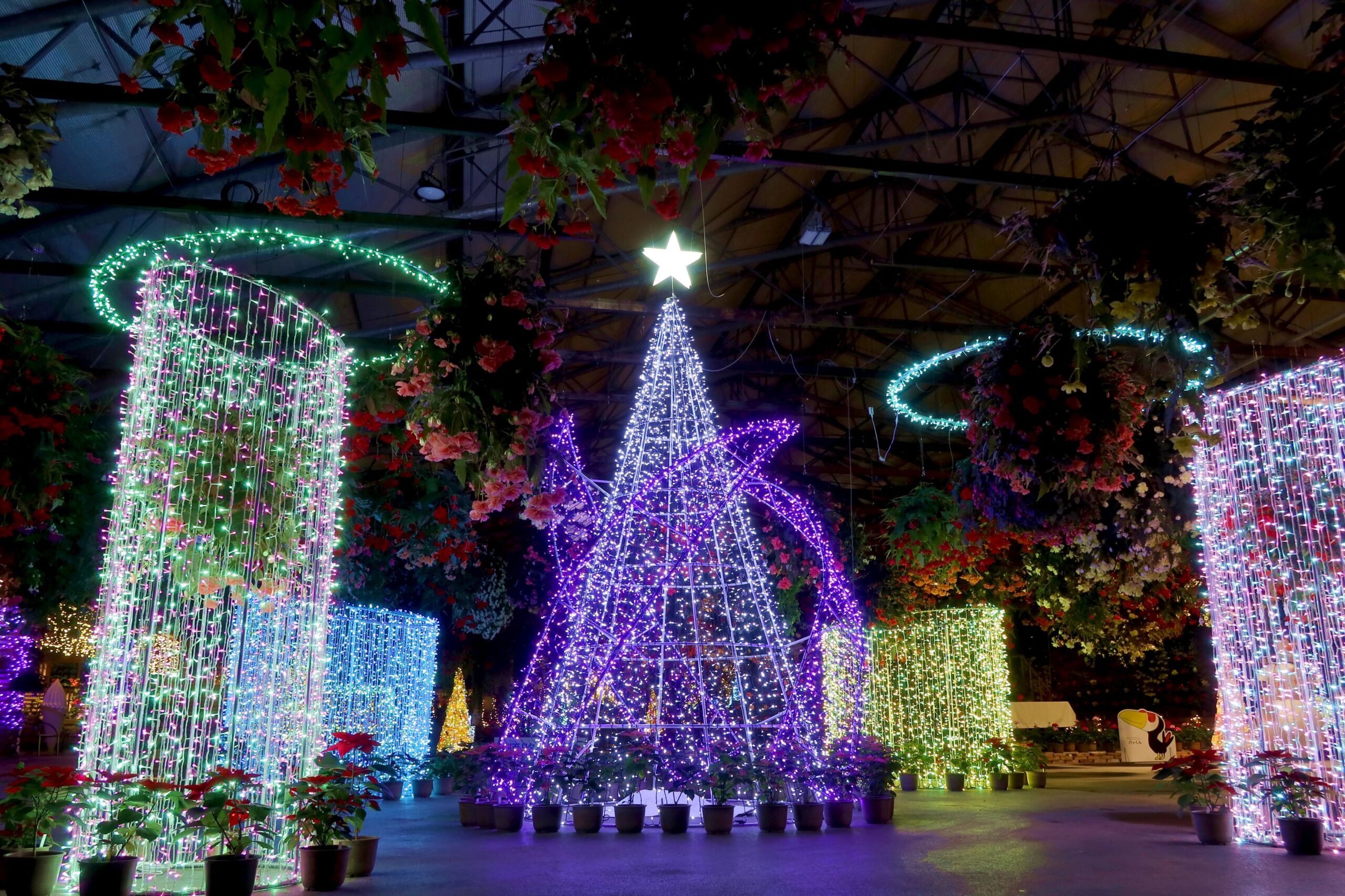 イルミネーションの様子 - 【公式】湖畔に広がる花と鳥の楽園《松江