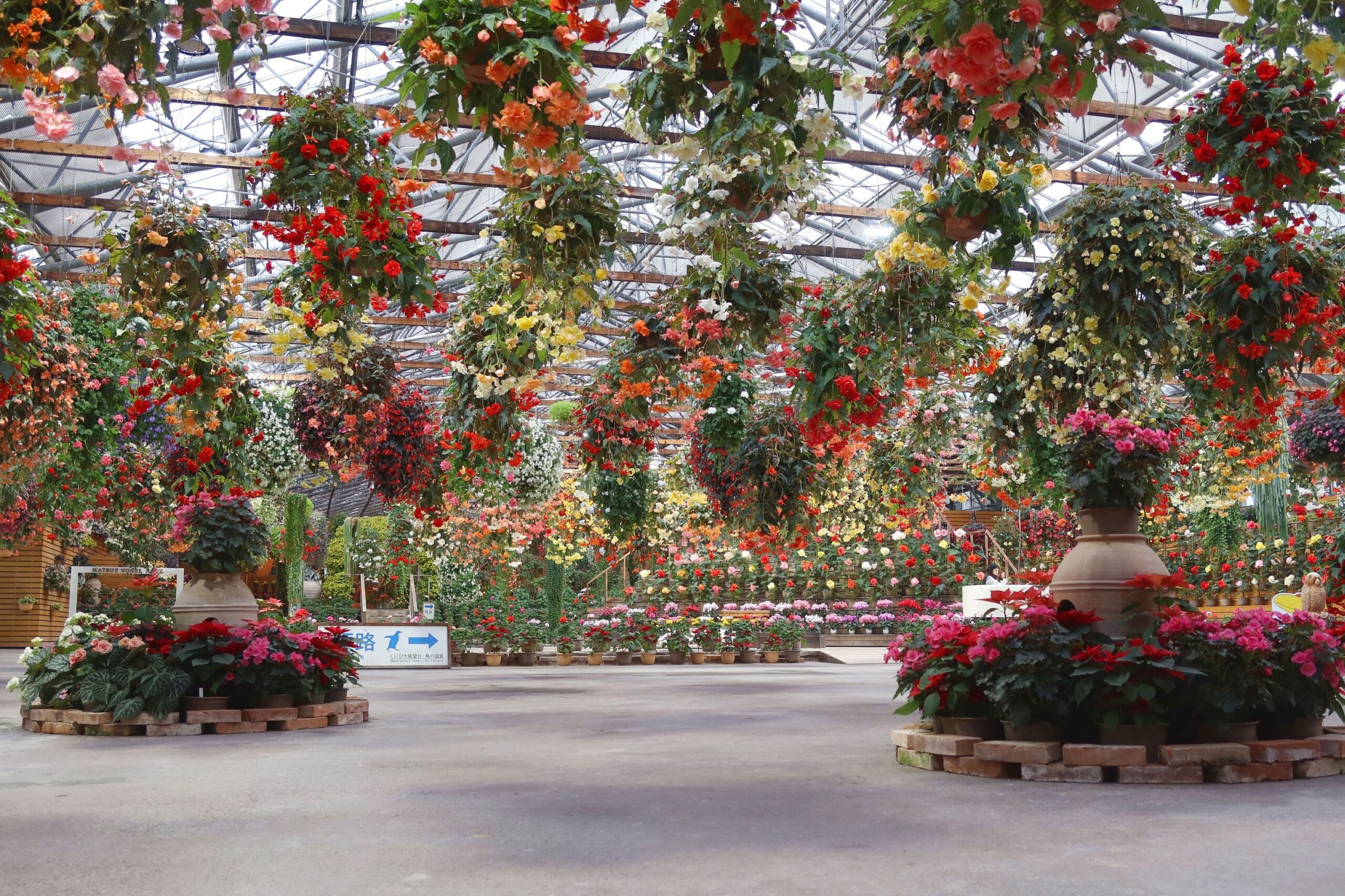 1月22日センターハウスの花の様子 - 【公式】湖畔に広がる花と鳥の楽園